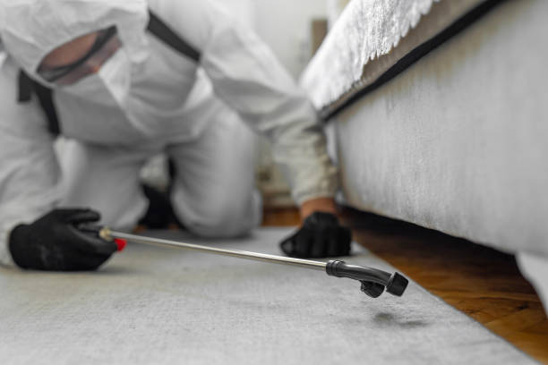Professional Termite Control technician working in Packanack Lake, NJ