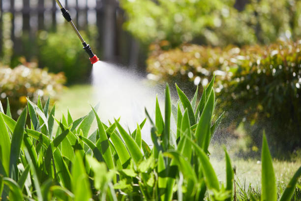 24/7 Emergency Termite Control experts in Packanack Lake, NJ