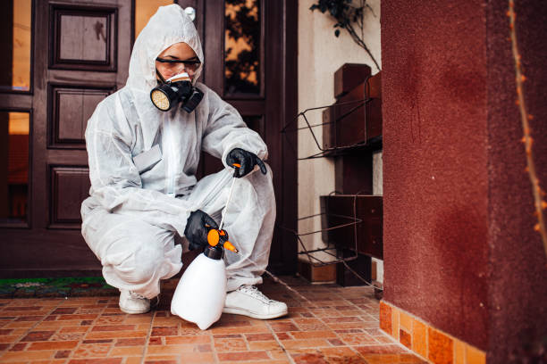 Reliable Termite Control contractor in Packanack Lake, NJ by Nex Pest Control