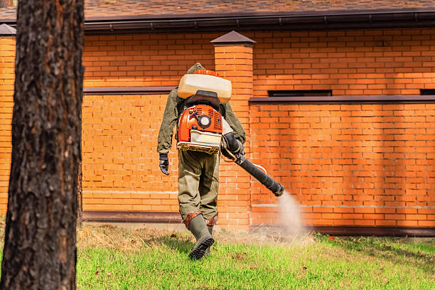 Trusted Rodent Control service in Packanack Lake, NJ - Nex Pest Control